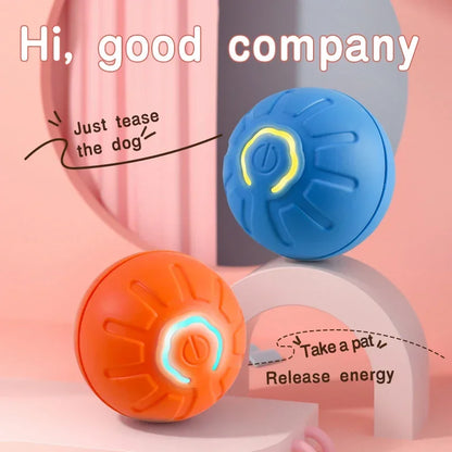 Interactive Ball for Dogs